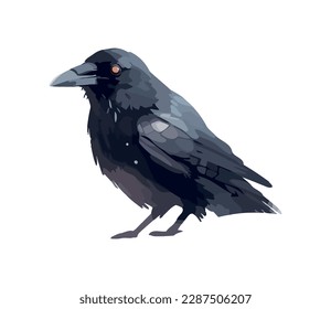 Feathered bird crow animal wild icon isolated