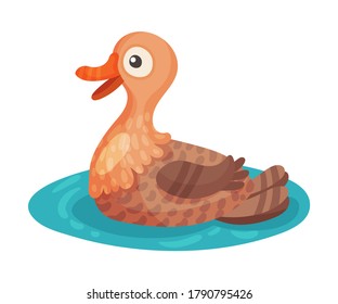 Feathered Duck as Farm Bird Swimming in Pond Vector Illustration