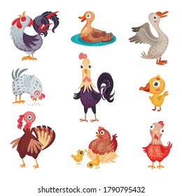 Feathered Farm Birds with Hen and Duck Vector Set