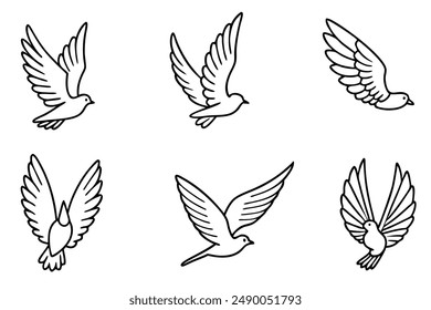 Feathered Flight line art Avian Grace in Monochrome