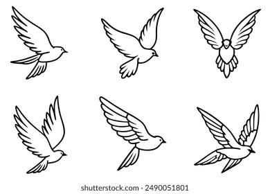 Feathered Flight line art Avian Motion in Black and White