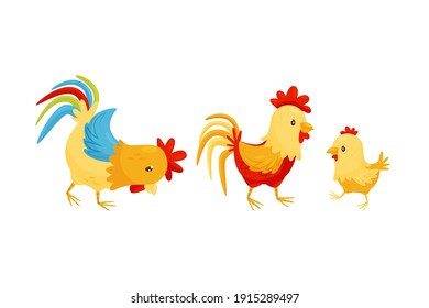 Feathered Hen and Baby Chick as Farm Bird Walking in the Yard Vector Set
