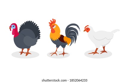 Feathered Hen and Turkey as Farm Bird Vector Set