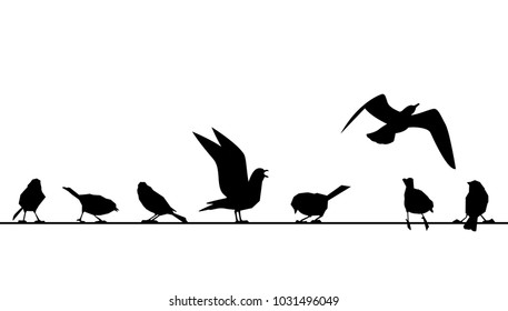 Feathered ones sit on wires. Vector silhouettes of birds isolated on white background. Sparrows on a branch.