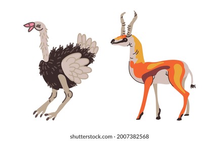 Feathered Ostrich and Horned Gazelle as African Animal Vector Set