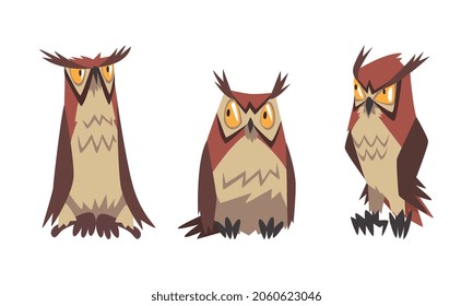 Feathered Owl with Big Yellow Eyes and Sharp Talon in Sitting Pose Vector Set