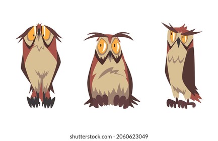 Feathered Owl with Big Yellow Eyes and Sharp Talon in Sitting Pose Vector Set