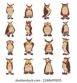 Feathered Owl with Big Yellow Eyes and Sharp Talon in Sitting Pose Big Vector Set