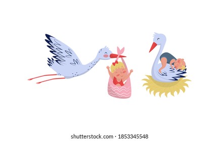 Feathered Stork with Long Bill Carrying Baby Vector Set