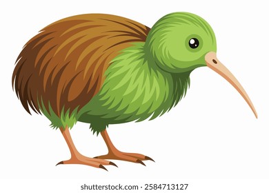 A Featherless Wonder The Kiwi Bird