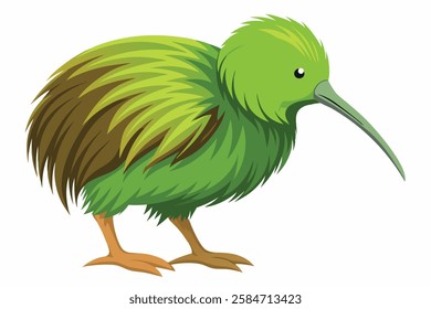 A Featherless Wonder The Kiwi Bird 