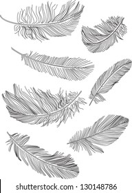 Feathers