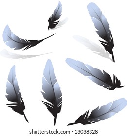 feathers