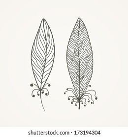 Feathers