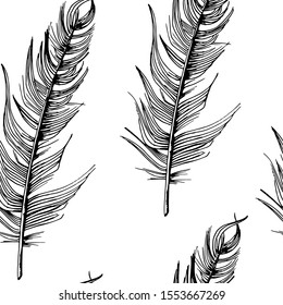 Feathers backdrop. Hand-drawn sketch style bird feathers on white background. Seamless vector pattern. Black and white.