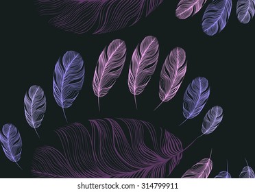 feathers background