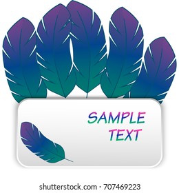 Feathers background. Vector illustration EPS10
