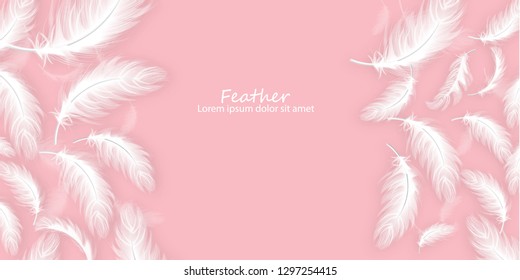 Feathers fondo Vector realista