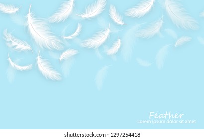 Feathers background Vector realistic. White feathers on blue card template