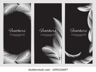 Feathers banners template. Realistic white swan falling feathers vector background