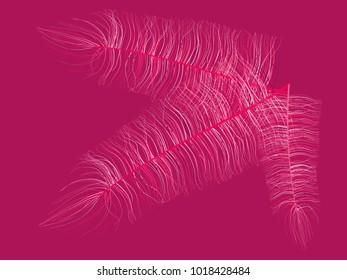 Feathers. Beautiful Hand Drawn Beard Feathers. Colorful Feathers Isolated. Fluff. Feathers for Wallpaper, Illustration, Carnival, Masquerade, Invitation, Textile. Decoration Element for Your Design.