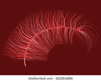 Feathers. Beautiful Hand Drawn Beard Feather. Colorful Feather Isolated. Fluff. Feathers for Wallpaper, Illustration, Carnival, Masquerade, Invitation, Textile. Decoration Element for Your Design.