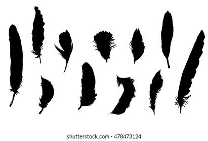 Feathers big set vector illustration design, silhouette vector feathers, feathers set 