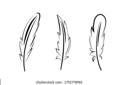 feathers bird graphic set black line minimalistic vector icon isolated on white background. To illustrate the processes of education, science, write the text.