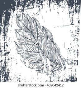 the feathers of a bird pattern old image