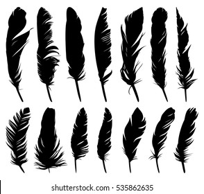Download Silhouette Feather Birds Images Stock Photos Vectors Shutterstock