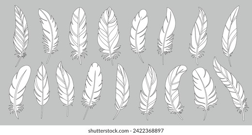 Feathers of birds set vector illustration. Bird feathers of different shapes, feathers icon set. Different bird wing part used for fabric and scrapbooking on grey background.