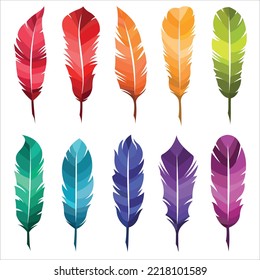 Feathers of birds, vector illustration collection of colorful set