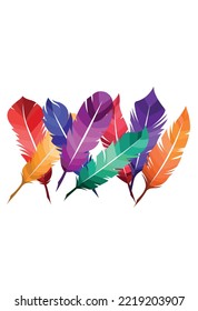 Feathers of birds, vector illustration collection of colorful set writer