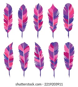 Feathers of birds, vector illustration collection of colorful set writer