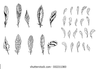 Las plumas. Blanco y negro.  Para tu diseño, anuncios, postales, afiches.Negro y blanco. 