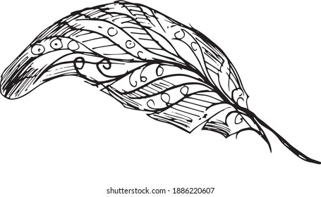 Feathers boho style. graphic illustration hand-drawn, vector. Print, textile, vintage, retro, doodle, sketch.
