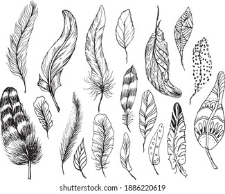 Feathers boho style. graphic illustration hand-drawn, vector. Print, textile, vintage, retro, doodle, sketch.