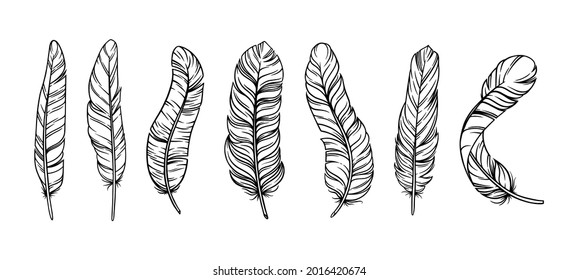 Feathers in boho vintage style. Set of tribal bird feathers isolated in white background. Hand drawn vector illustration