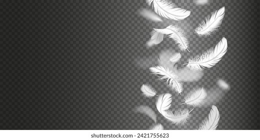 Feathers border column realistic vector illustration. Frame of white birds plumage 3d design elements on transparent background. Mockup place