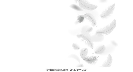 Feathers border column realistic vector illustration. Frame of white birds plumage 3d design elements on transparent background. Mockup place