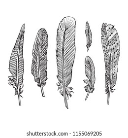 Feathers collection, hand drawn doodle sketch, isolated vector outline illustration