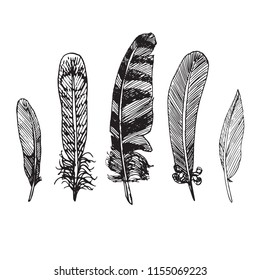 Feathers collection, hand drawn doodle sketch, isolated vector outline illustration