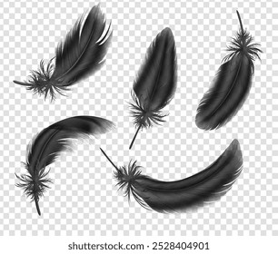 Feathers collection in realistic style