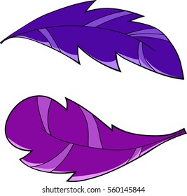 Feathers colored vector icon