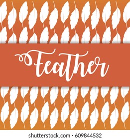 feathers colorful design. boho style concept. vector illustration
