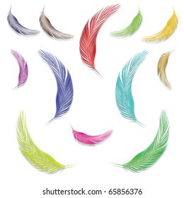 feathers in colors against white background, abstract vector art illustration