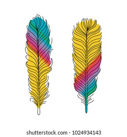 Feathers colors color vector isolated