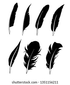 feathers for decoration