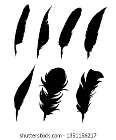 feathers for decoration