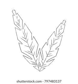 feathers decoratives isolated icon